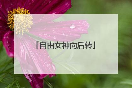 自由女神向后转