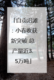 自贡沿滩：小春收获新突破 总产量近3.5万吨