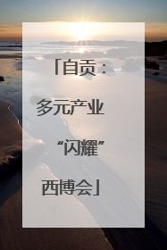 自贡：多元产业“闪耀”西博会