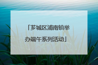 芗城区浦南镇举办端午系列活动