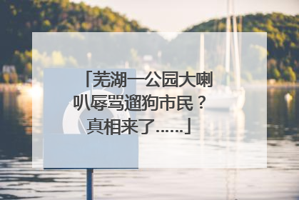 芜湖一公园大喇叭辱骂遛狗市民？真相来了……