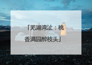 芜湖湾沚：桃香满园醉枝头