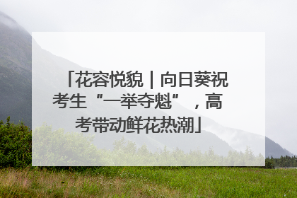 花容悦貌｜向日葵祝考生“一举夺魁”，高考带动鲜花热潮