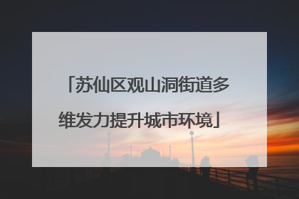 苏仙区观山洞街道多维发力提升城市环境