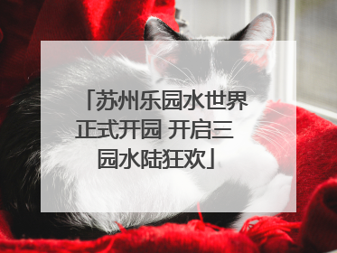 苏州乐园水世界正式开园 开启三园水陆狂欢