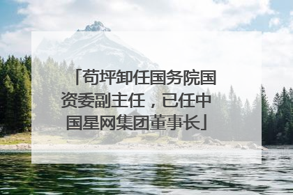 苟坪卸任国务院国资委副主任，已任中国星网集团董事长