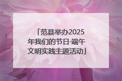 范县举办2025年我们的节日·端午文明实践主题活动