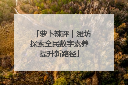 萝卜辣评｜潍坊探索全民数字素养提升新路径