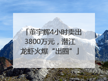 董宇辉4小时卖出3800万元，潜江龙虾火爆“出圈”