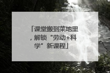 课堂搬到菜地里，解锁“劳动+科学”新课程