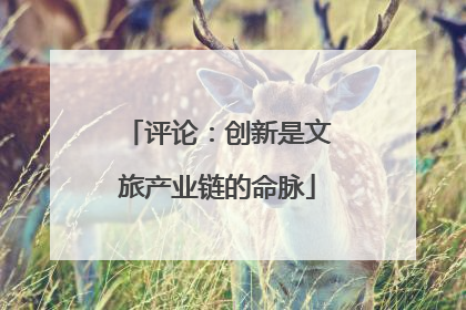 评论：创新是文旅产业链的命脉