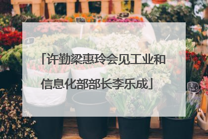 许勤梁惠玲会见工业和信息化部部长李乐成