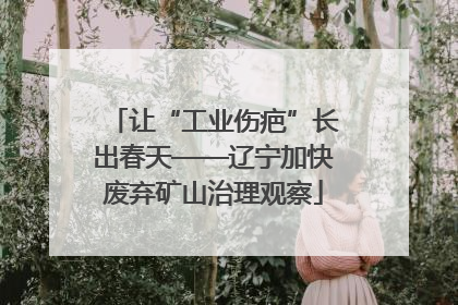 让“工业伤疤”长出春天——辽宁加快废弃矿山治理观察