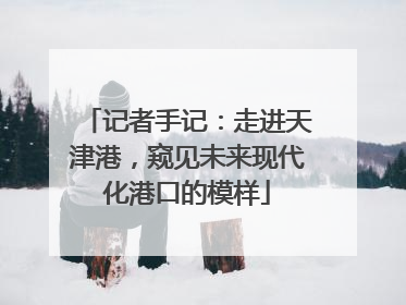 记者手记：走进天津港，窥见未来现代化港口的模样