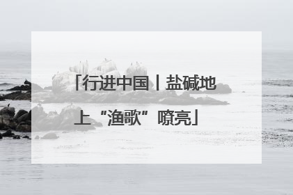 行进中国丨盐碱地上“渔歌”嘹亮