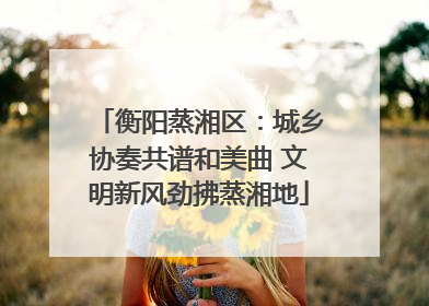 衡阳蒸湘区：城乡协奏共谱和美曲 文明新风劲拂蒸湘地
