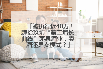 被执行近40万！肆拾玖坊“第二增长曲线”茅泉酒业，卖酒还是卖模式？