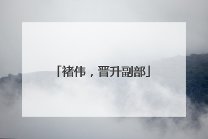 褚伟，晋升副部