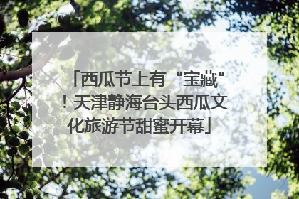 西瓜节上有“宝藏”！天津静海台头西瓜文化旅游节甜蜜开幕