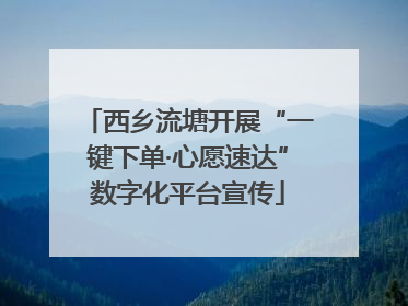 西乡流塘开展“一键下单·心愿速达”数字化平台宣传