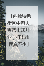 西城特色街区中海大吉巷正式开业，打卡市民真不少