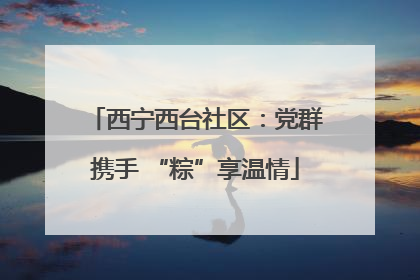 西宁西台社区：党群携手 “粽”享温情