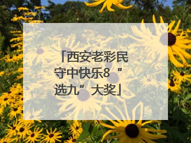 西安老彩民守中快乐8“选九”大奖