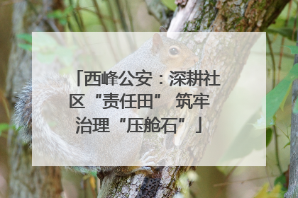 西峰公安：深耕社区“责任田” 筑牢治理“压舱石”