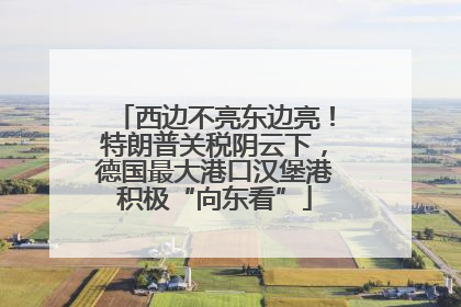 西边不亮东边亮！特朗普关税阴云下，德国最大港口汉堡港积极“向东看”