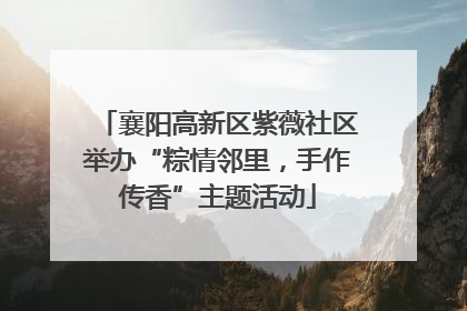 襄阳高新区紫薇社区举办“粽情邻里，手作传香”主题活动