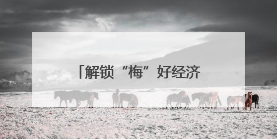 解锁“梅”好经济 余姚杨梅深加工年耗鲜果1600吨