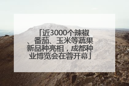 近3000个辣椒、番茄、玉米等蔬果新品种亮相，成都种业博览会在蓉开幕