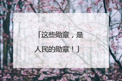 这些勋章，是人民的勋章！