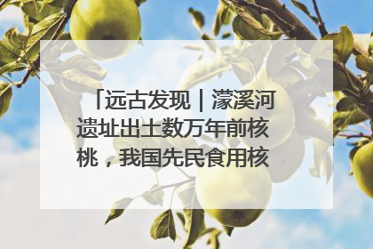 远古发现｜濛溪河遗址出土数万年前核桃，我国先民食用核桃历史大幅提前