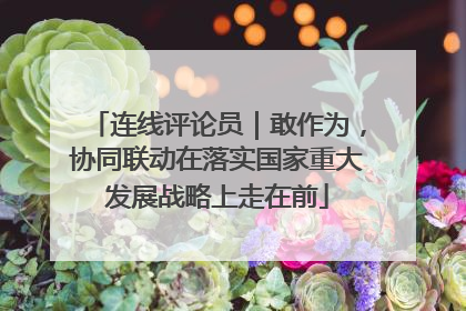 连线评论员｜敢作为，协同联动在落实国家重大发展战略上走在前