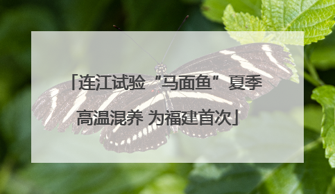 连江试验“马面鱼”夏季高温混养 为福建首次