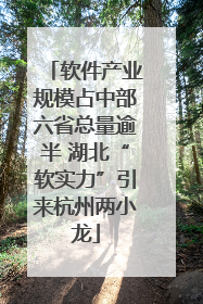软件产业规模占中部六省总量逾半 湖北“软实力”引来杭州两小龙