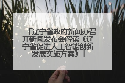 辽宁省政府新闻办召开新闻发布会解读《辽宁省促进人工智能创新发展实施方案》