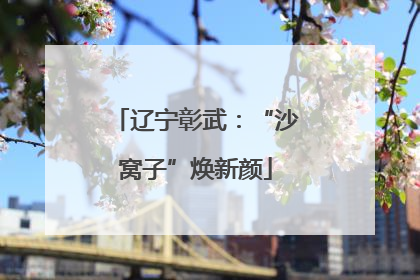 辽宁彰武：“沙窝子”焕新颜