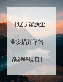辽宁能源企业多措并举备战迎峰度夏
