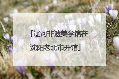 辽河非遗美学馆在沈阳老北市开馆