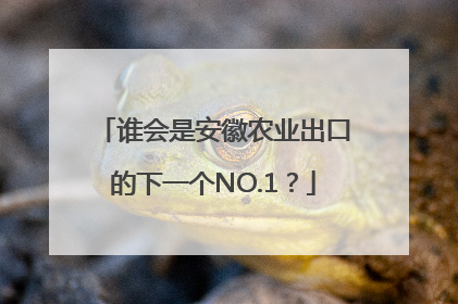 谁会是安徽农业出口的下一个NO.1？
