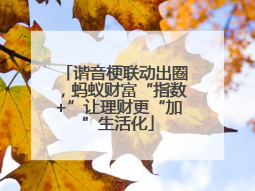 谐音梗联动出圈，蚂蚁财富“指数+”让理财更“加”生活化