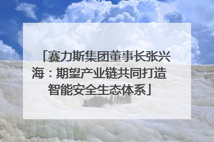 赛力斯集团董事长张兴海：期望产业链共同打造智能安全生态体系
