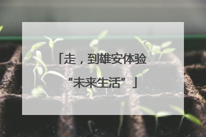 走，到雄安体验“未来生活”