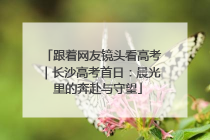 跟着网友镜头看高考｜长沙高考首日：晨光里的奔赴与守望
