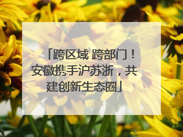 跨区域 跨部门！安徽携手沪苏浙，共建创新生态圈