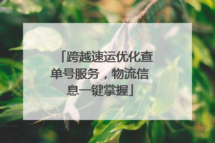 跨越速运优化查单号服务，物流信息一键掌握