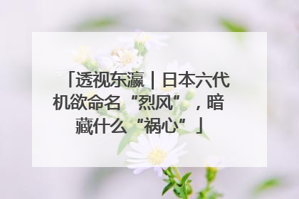 透视东瀛｜日本六代机欲命名“烈风”，暗藏什么“祸心”