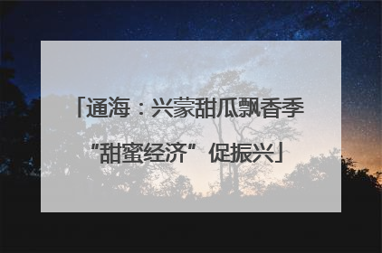 通海：兴蒙甜瓜飘香季 “甜蜜经济”促振兴